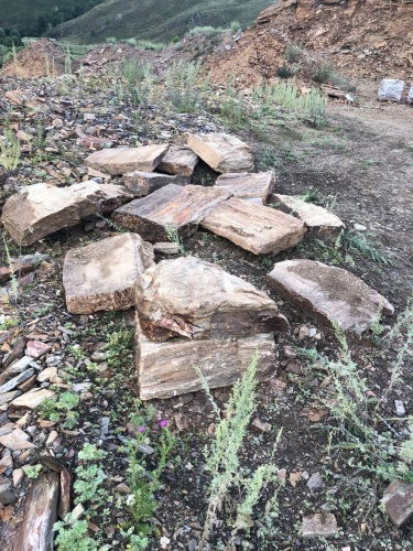 Плитняк кора дерева 50-100мм для пошаговых дорожек купить в Чердыни